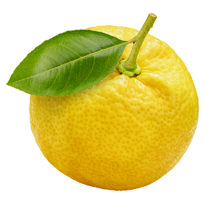 A yuzu